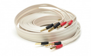 True Colours Industries (TCI) Sidewinder Terminated hos Hifi-Punkten.se